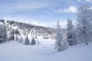 Beigarterhof - Im Winter_17