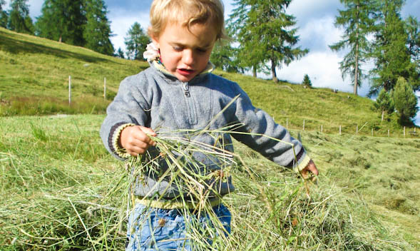 Beigarterhof - Spaß und Unterhaltung für die Kinder